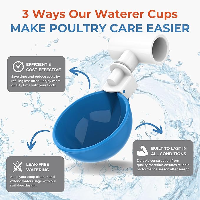 Blue drinking cup set for chickens ducks and rabbits