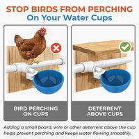 5 Piece Poultry Watering Kit for Chickens, Ducks, Turkeys and Rabbits