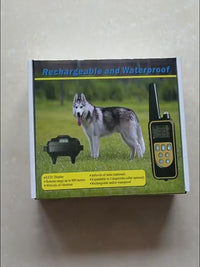 Waterproof Pet Training Collar with Adjustable Strap
