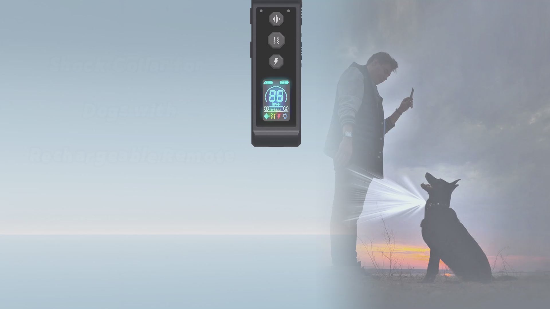 Waterproof Pet Training Collar with Remote Control Function