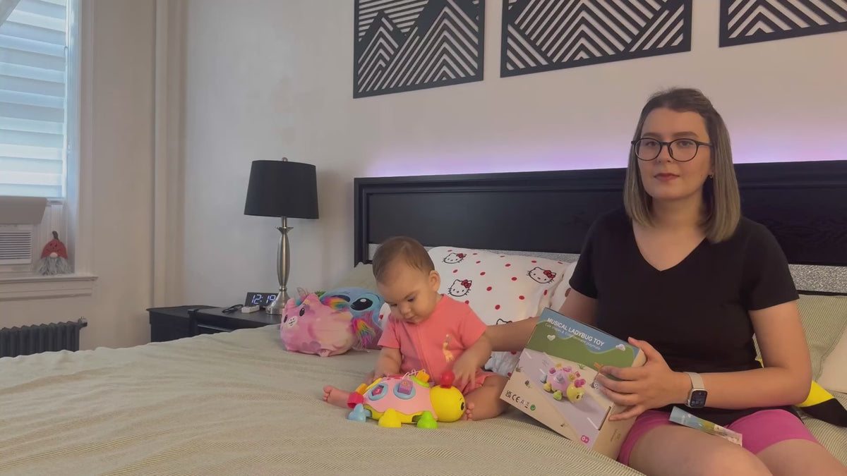 moving-ladybug-toy-for-babies