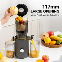 juicer machine with separate juice and pulp collection containers