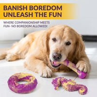 Puppy teething chew toys with bone-shaped nylon designs