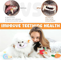 puppy teething squeaky toys for indoor interactive play