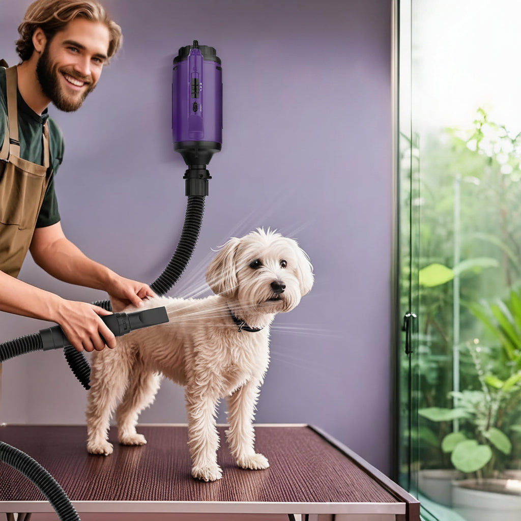 Purple Dog Hair Dryer With High Airflow Design
