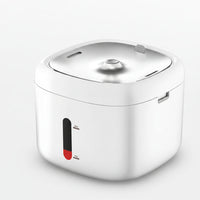 Quiet Cat Water Fountain with Automatic Water Flow