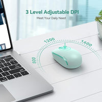 Quiet wireless computer mouse with USB receiver for laptop and PC
