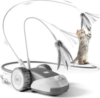 Racing Car Pet Toy for Interactive Cat and Kitten Play