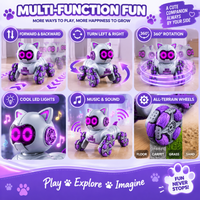 RC robot cat with wireless remote control