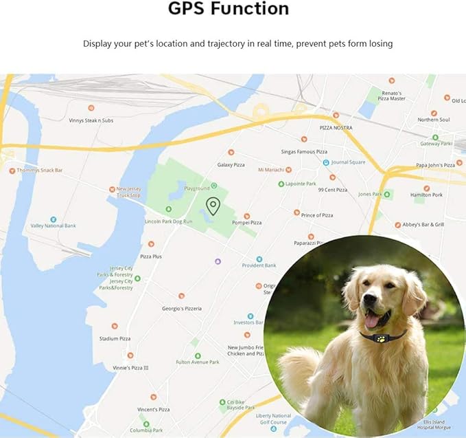 Real-Time Dog Tracking Alerts with Pet GPS Collar