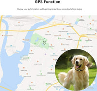 Real-Time Dog Tracking Alerts with Pet GPS Collar