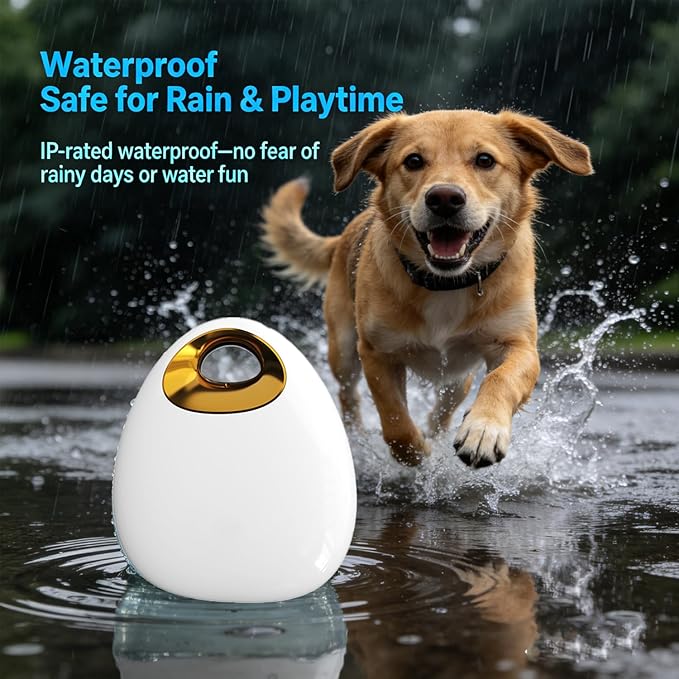 real-time GPS pet tracker for monitoring dogs and cats