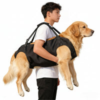 Rear Lift Dog Harness for Assisted Pet Mobility