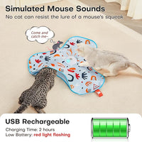 Rechargeable Hide and Seek Cat Toy with Feather Wand and Squeaky Mouse
