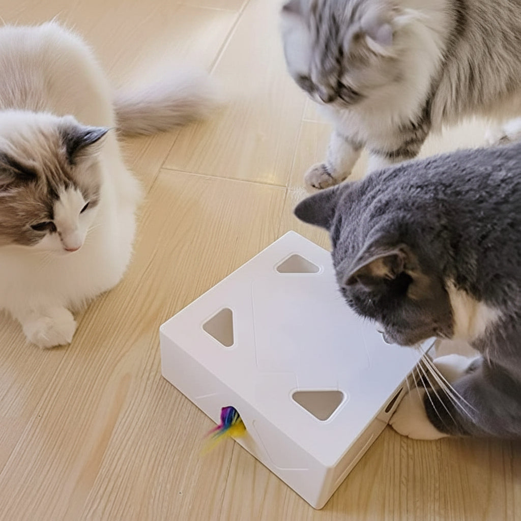 Rechargeable Automatic Cat Toy With Feather Attachments