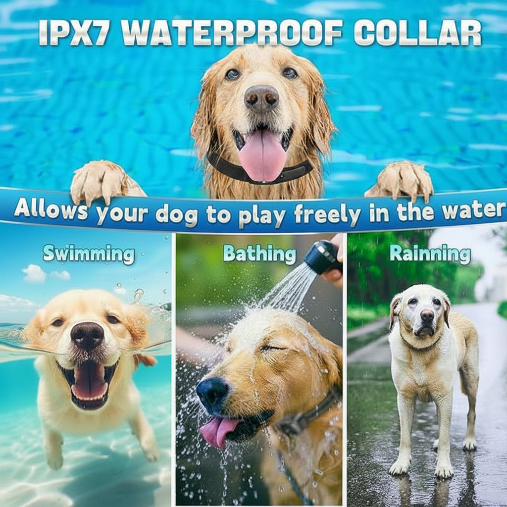 Rechargeable dog collar unit with compact body