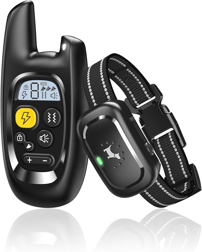 Rechargeable dog training collar with remote control