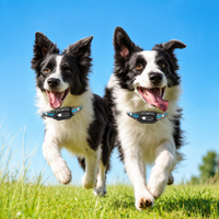 Rechargeable Dog Training Tool with Portable Remote Controller
