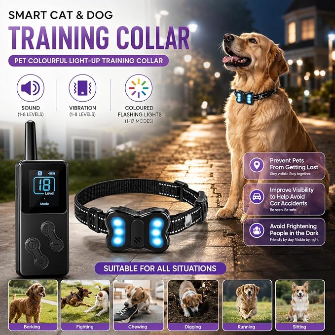 Rechargeable light-up dog collar for outdoor walks and training
