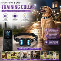 Rechargeable light-up dog collar for outdoor walks and training