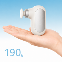 Rechargeable massage device with multiple interchangeable attachment heads