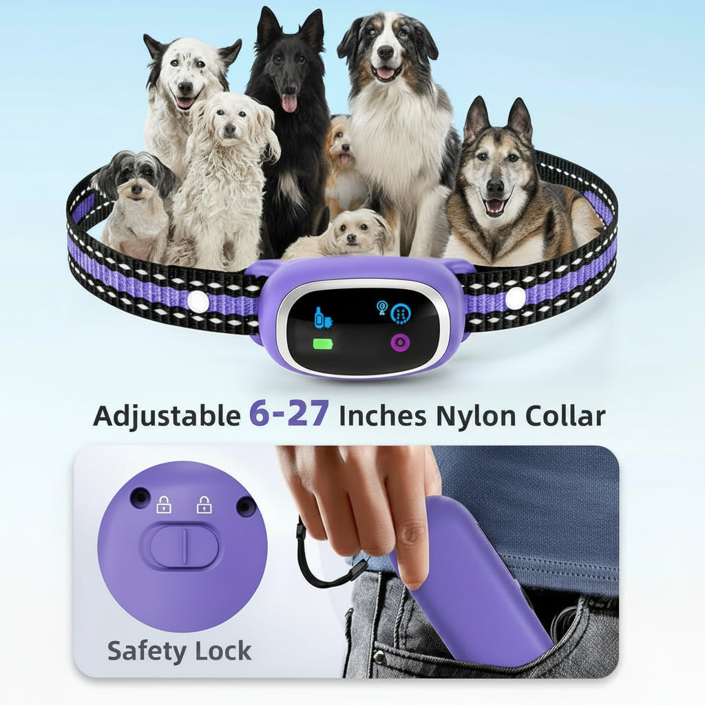 Rechargeable Pet Training Collar With Durable Receiver