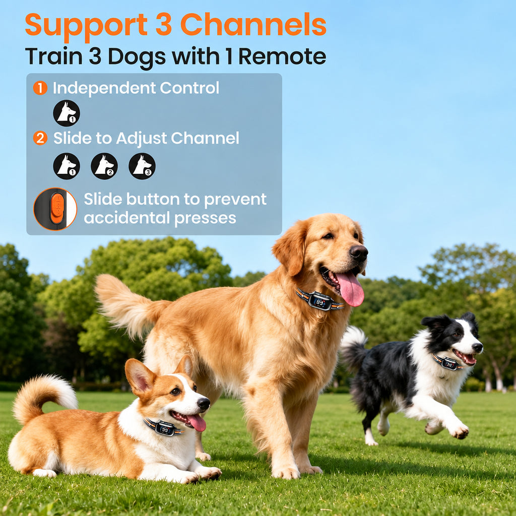 Rechargeable Pet Training Collar with Wireless Remote