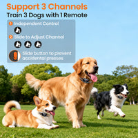 Rechargeable Pet Training Collar with Wireless Remote