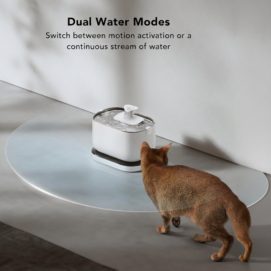 Modern Cat Water Dispenser With Rechargeable Wireless Design