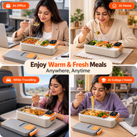 cordless electric lunch box with food heating