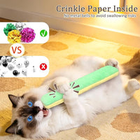 Indoor cat toy with refillable catnip pocket