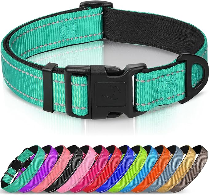 Reflective Dog Collar for Large Dogs with Neoprene Padding, Adjustable Nylon, and Metal D-Ring in Teal