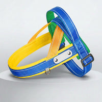 Reflective dog harness and leash set for outdoor activities
