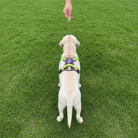 Alt Text: Reflective dog harness designed for improved visibility during outdoor walks