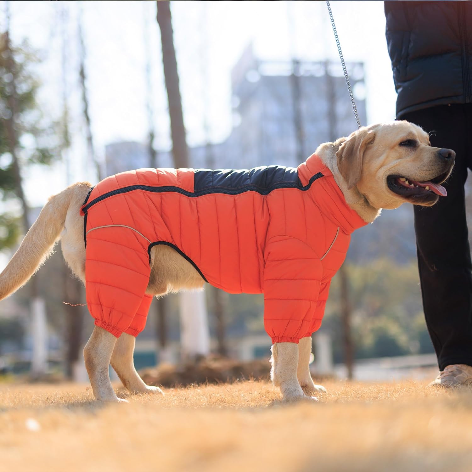 Reflective Orange Dog Jacket Designed For Low-Light Outdoor Walks