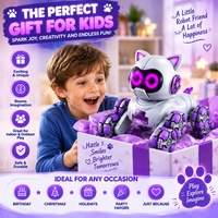 Remote control robot cat electric toy