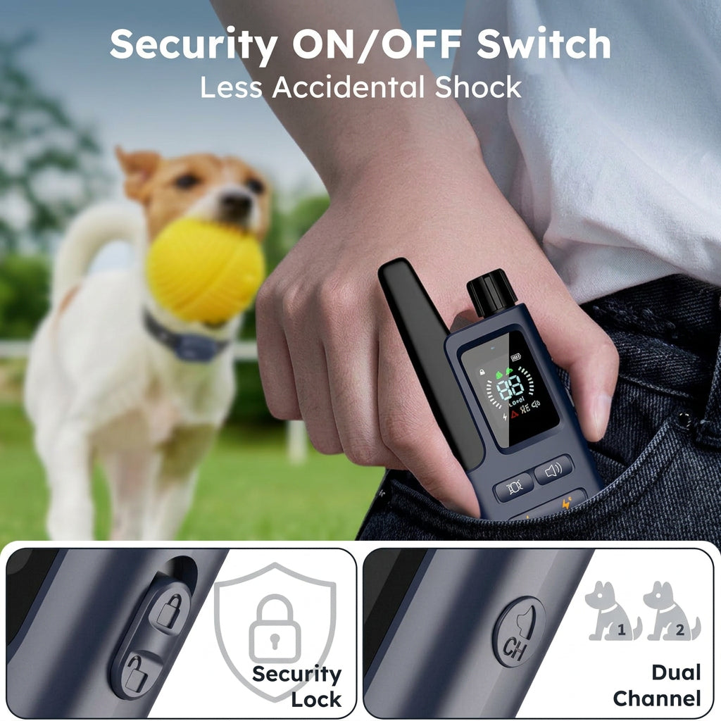 Blue remote dog trainer for supervised training sessions