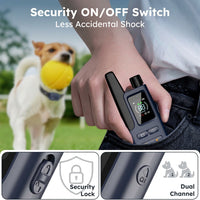 Blue remote dog trainer for supervised training sessions