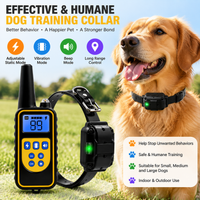 Remote Dog Training Device for Supervised Training Activities