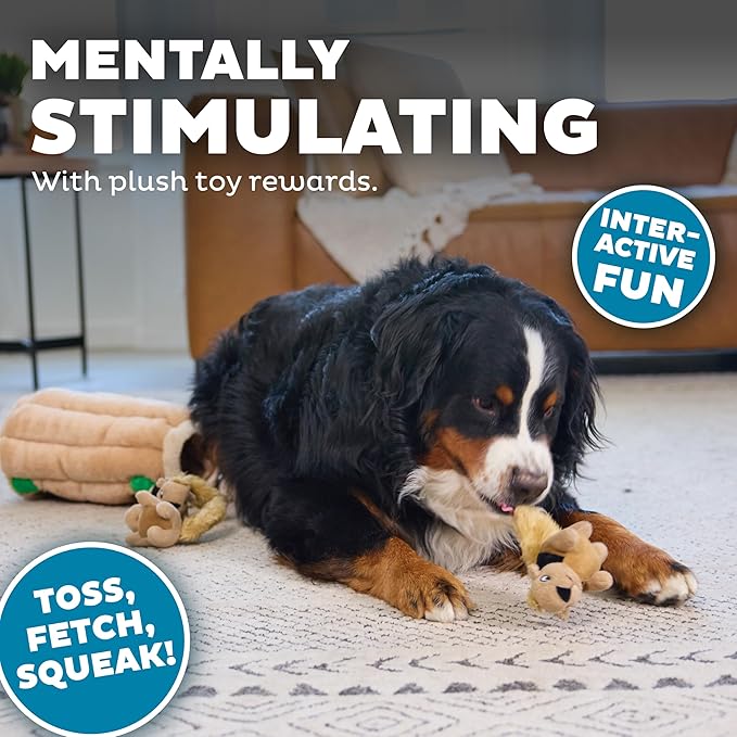 Removable squirrel pieces for plush dog activity toy