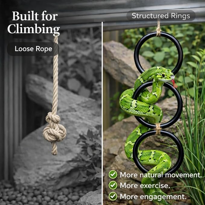 Reptile Climbing Rings for Bearded Dragons, Chameleons, and Snakes, Habitat Accessorie