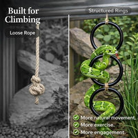 Reptile Climbing Rings for Bearded Dragons, Chameleons, and Snakes, Habitat Accessorie