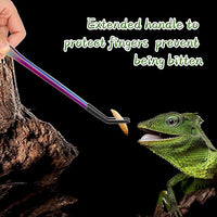Curved and Straight Stainless Steel Tweezers for Precise Feeding of Reptiles