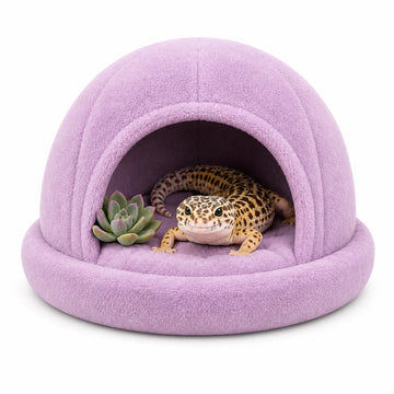 Reptile habitat category image with gecko in lavender hide shelter