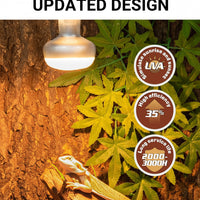 Reptile Habitat Lighting Bulb with UVA Light and Heat