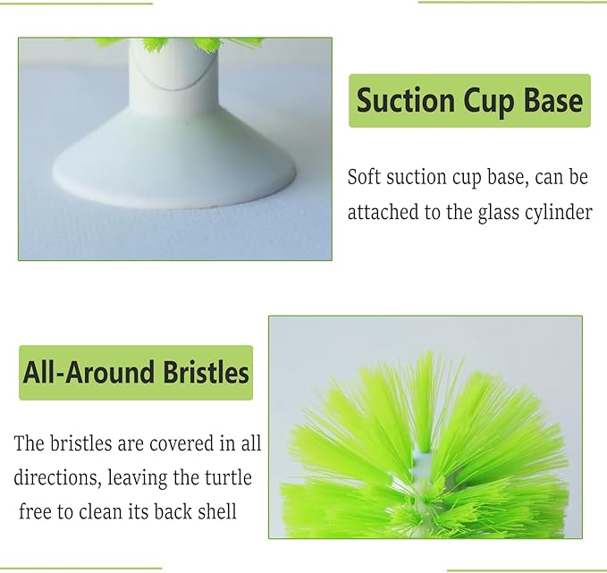 Reptile Shell Scrub Brush with Suction Cup for Mud, Dirt, and Scutes Removal