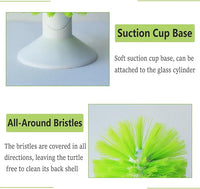 Reptile Shell Scrub Brush with Suction Cup for Mud, Dirt, and Scutes Removal