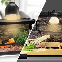 100W Reptile Spotlight Bulb Suitable For Basking Area