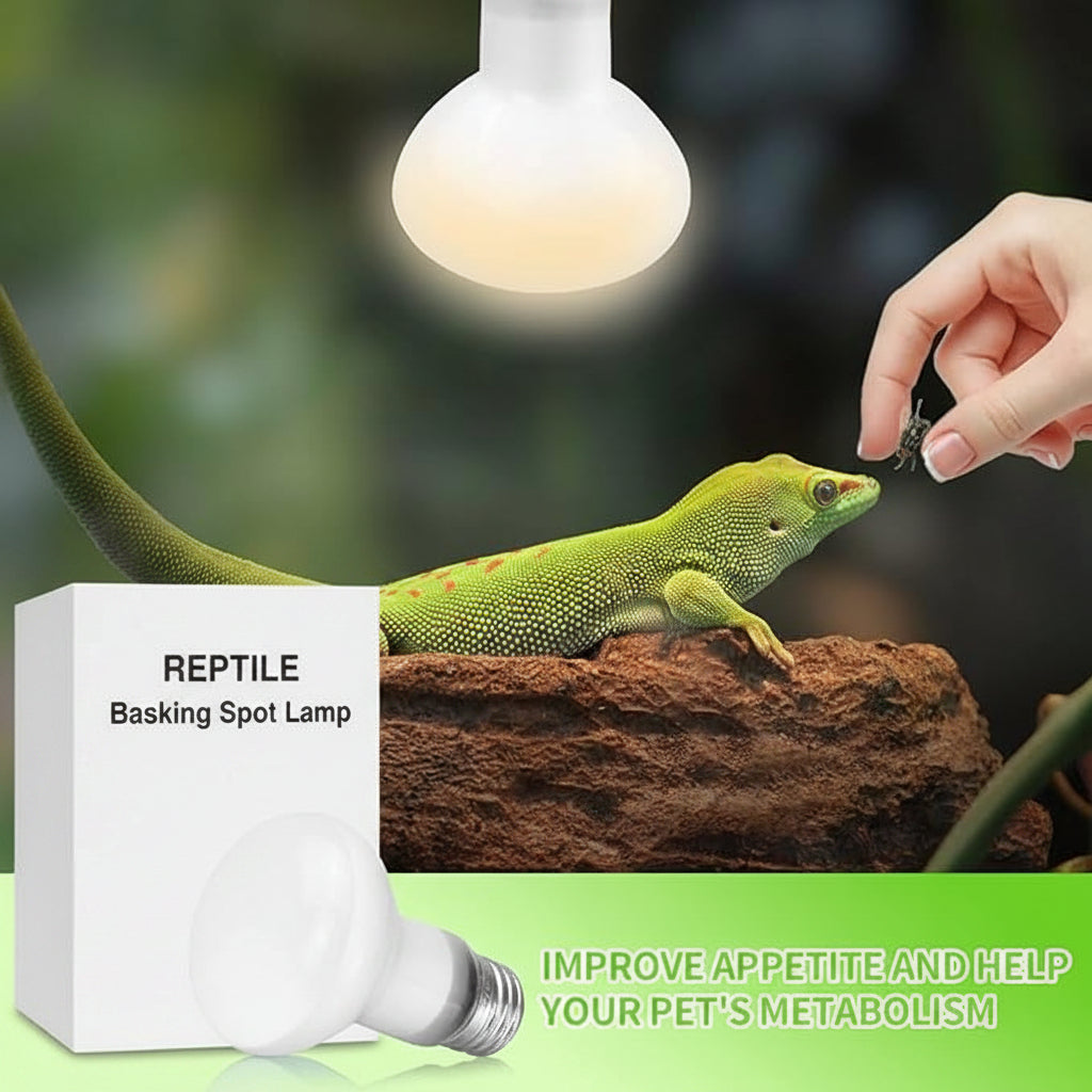 150W Reptile Spotlight Bulb For Large Indoor Terrariums