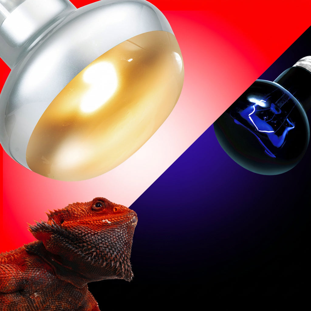 Reptile Terrarium Heating Lamp for Habitat Lighting and Warmth